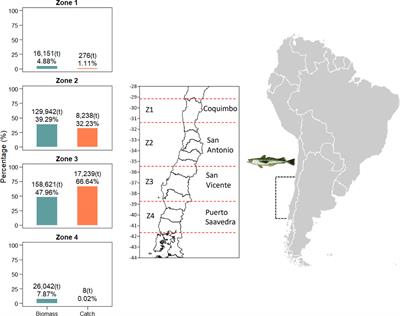Spatial heterogeneity of biological traits and effects on fisheries management based on the assumption of a single stock. The case of the common hake (Merluccius gayi) in Chile